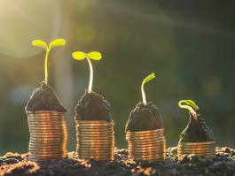 深耕十载 精益求精