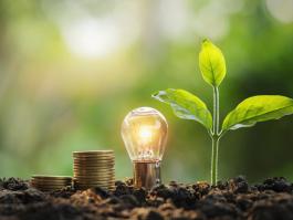 稳扎稳打 践行合规