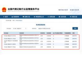 全国代理记账服务行业监管平台备案